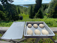 KOHOTUSLAATIKKO PIZZAPALLOILLE 40x30x7